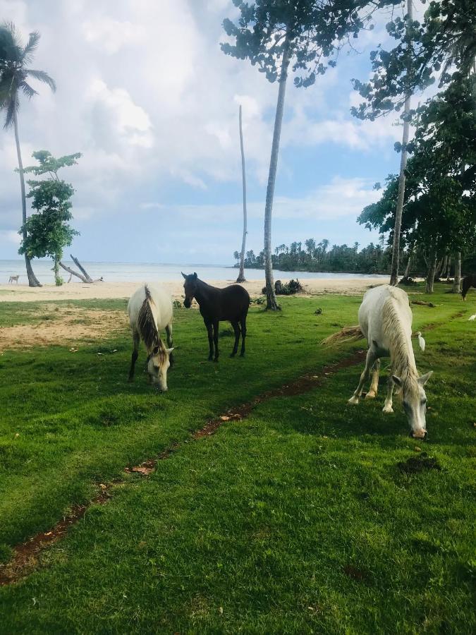 Oasis En La Naturaleza Rancho Alto Bonito 라스갈레라스 외부 사진